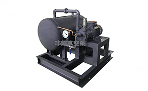 水環(huán)真空泵壓強的相關(guān)介紹