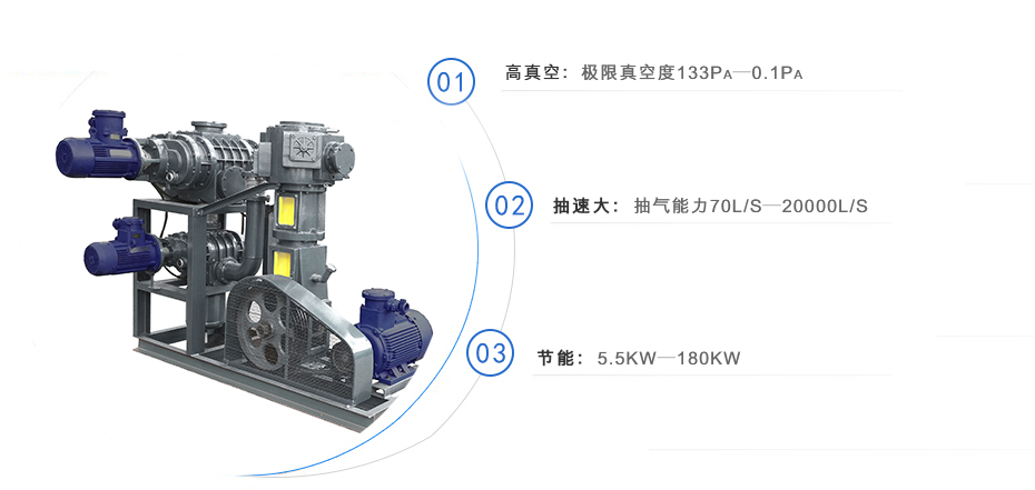 羅茨泵+無油往復真空泵機組 羅茨泵+無油往復真空泵機組